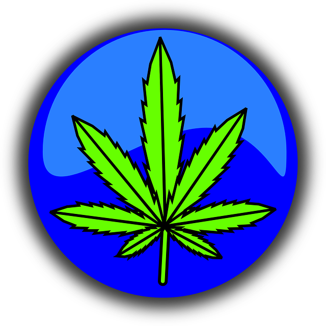 cannabis-490775_640.png