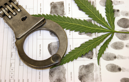 marijuana-handcuffs-eb.jpg