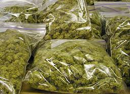 thirteen-bags-of-marijuana-found-in-taxi-cab.jpg