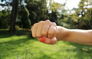 fist-bump-1195446_960_720