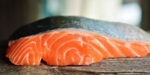 salmon-3139390__480-300x150